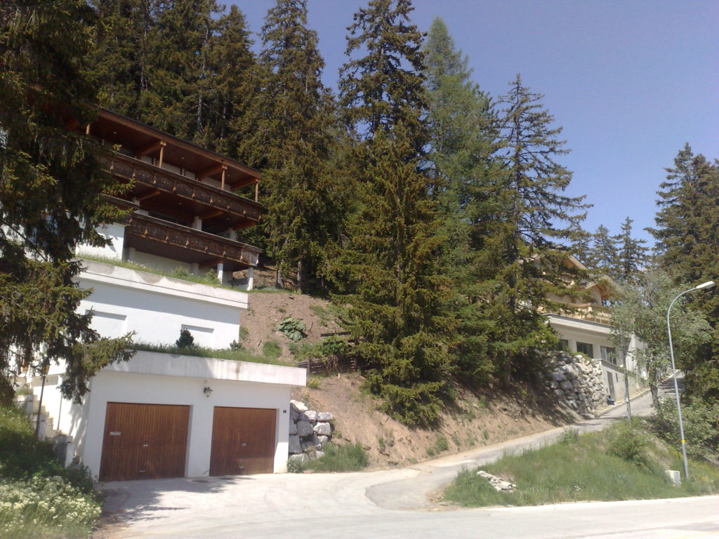 Cadastre forestier – Crans