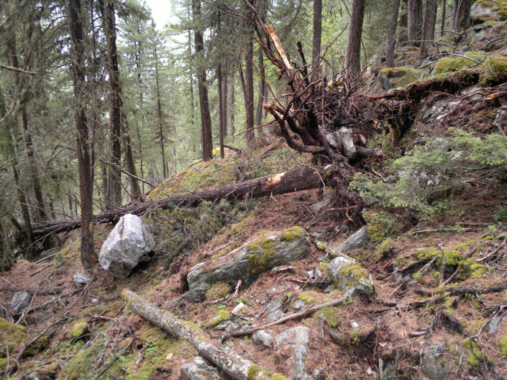 Chutes de pierres, Grimentz